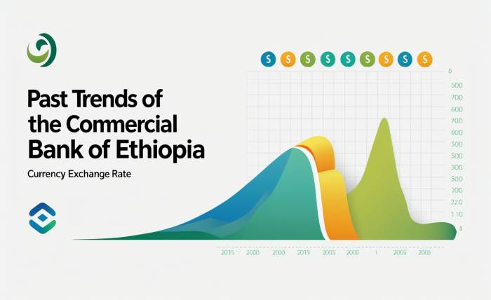 commercial bank of ethiopia currency exchange rate 2025