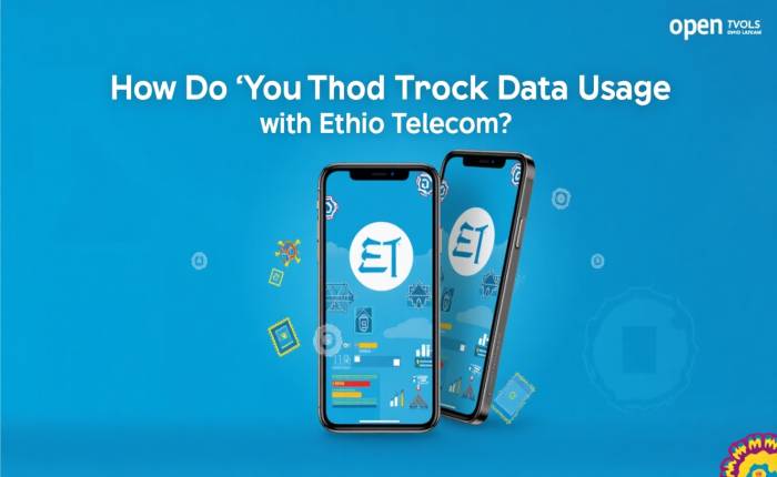 How to Check Your Ethio Telecom Services and Data Usage
