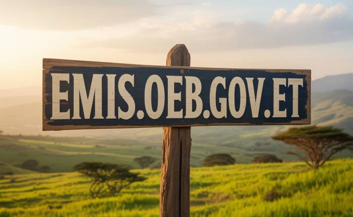 emis.oeb.gov.et: Valuable Data, Happy People.